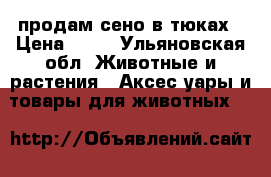 продам сено в тюках › Цена ­ 40 - Ульяновская обл. Животные и растения » Аксесcуары и товары для животных   